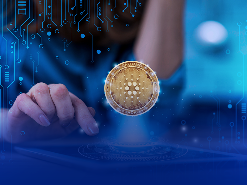 CCSS - Criptomoedas (thumb)